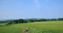 Archiv Foto Webcam Panoramablick Vogelschmiede auf der Herchenhainer Höhe 07:00