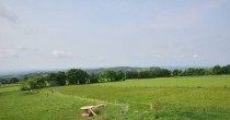 Archiv Foto Webcam Panoramablick Vogelschmiede auf der Herchenhainer Höhe 09:00