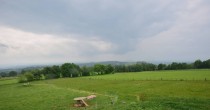 Archiv Foto Webcam Panoramablick Vogelschmiede auf der Herchenhainer Höhe 13:00