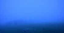 Archiv Foto Webcam Panoramablick Vogelschmiede auf der Herchenhainer Höhe 03:00
