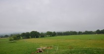 Archiv Foto Webcam Panoramablick Vogelschmiede auf der Herchenhainer Höhe 05:00