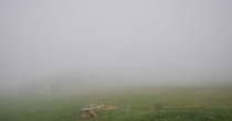 Archiv Foto Webcam Panoramablick Vogelschmiede auf der Herchenhainer Höhe 06:00
