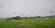 Archiv Foto Webcam Panoramablick Vogelschmiede auf der Herchenhainer Höhe 07:00