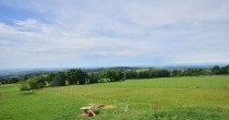 Archiv Foto Webcam Panoramablick Vogelschmiede auf der Herchenhainer Höhe 09:00
