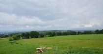Archiv Foto Webcam Panoramablick Vogelschmiede auf der Herchenhainer Höhe 11:00