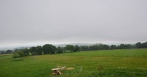Archiv Foto Webcam Panoramablick Vogelschmiede auf der Herchenhainer Höhe 13:00
