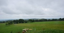 Archiv Foto Webcam Panoramablick Vogelschmiede auf der Herchenhainer Höhe 15:00
