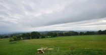 Archiv Foto Webcam Panoramablick Vogelschmiede auf der Herchenhainer Höhe 17:00