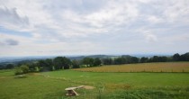 Archiv Foto Webcam Panoramablick Vogelschmiede auf der Herchenhainer Höhe 13:00