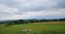 Archiv Foto Webcam Panoramablick Vogelschmiede auf der Herchenhainer Höhe 15:00