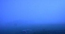 Archiv Foto Webcam Panoramablick Vogelschmiede auf der Herchenhainer Höhe 21:00