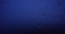 Archiv Foto Webcam Panoramablick Vogelschmiede auf der Herchenhainer Höhe 03:00