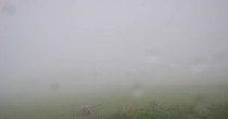 Archiv Foto Webcam Panoramablick Vogelschmiede auf der Herchenhainer Höhe 05:00