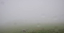 Archiv Foto Webcam Panoramablick Vogelschmiede auf der Herchenhainer Höhe 06:00