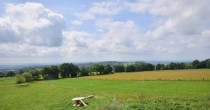 Archiv Foto Webcam Panoramablick Vogelschmiede auf der Herchenhainer Höhe 11:00