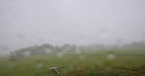 Archiv Foto Webcam Panoramablick Vogelschmiede auf der Herchenhainer Höhe 08:00