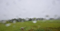 Archiv Foto Webcam Panoramablick Vogelschmiede auf der Herchenhainer Höhe 07:00