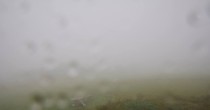 Archiv Foto Webcam Panoramablick Vogelschmiede auf der Herchenhainer Höhe 08:00