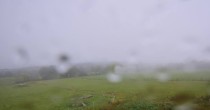 Archiv Foto Webcam Panoramablick Vogelschmiede auf der Herchenhainer Höhe 11:00