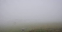 Archiv Foto Webcam Panoramablick Vogelschmiede auf der Herchenhainer Höhe 08:00
