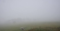 Archiv Foto Webcam Panoramablick Vogelschmiede auf der Herchenhainer Höhe 09:00