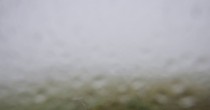 Archiv Foto Webcam Panoramablick Vogelschmiede auf der Herchenhainer Höhe 13:00