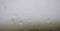 Archiv Foto Webcam Panoramablick Vogelschmiede auf der Herchenhainer Höhe 15:00