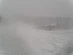 Archived image Webcam Carlsfeld - Base Station 11:00