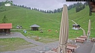 Archiv Foto Webcam Spitzingsee - Sonnenterrasse Untere Firstalm 14:00