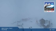 Archived image Webcam Aletsch Arena - View Fiescheralp 14:00