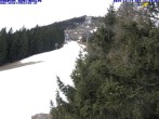 Archiv Foto Webcam Mitterbach - Gemeindealpe Snowpark 10:00