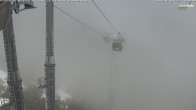 Archived image Webcam Jenner mountain - Valley View Cable Car 09:00