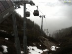 Archiv Foto Webcam Jenner - Blick ins Tal Gondelstation 11:00