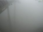 Archiv Foto Webcam Jenner - Blick ins Tal Gondelstation 17:00