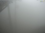 Archiv Foto Webcam Jenner - Blick ins Tal Gondelstation 15:00