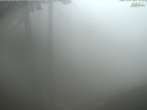 Archiv Foto Webcam Jenner - Blick ins Tal Gondelstation 15:00