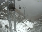 Archived image Webcam Jenner mountain - Valley View Cable Car 11:00