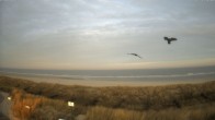 Archiv Foto Webcam Spiekeroog: Badestrand 08:00