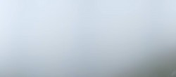 Archiv Foto Webcam Tux - Ausblick von der Wanglspitze 11:00