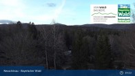 Archiv Foto Webcam Neuschönau - Besucherzentrum Nationalpark Bayerischer Wald 13:00