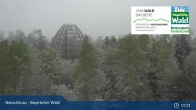 Archiv Foto Webcam Neuschönau - Besucherzentrum Nationalpark Bayerischer Wald 06:00