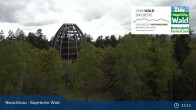 Archived image Webcam Neuschönau - Visitor center Lusen National Park 14:00