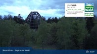 Archived image Webcam Neuschönau - Visitor center Lusen National Park 20:00
