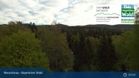 Archiv Foto Webcam Neuschönau - Besucherzentrum Nationalpark Bayerischer Wald 06:00