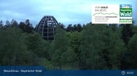 Archiv Foto Webcam Neuschönau - Besucherzentrum Nationalpark Bayerischer Wald 19:00