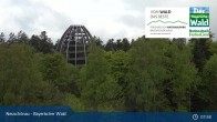 Archiv Foto Webcam Neuschönau - Besucherzentrum Nationalpark Bayerischer Wald 02:00