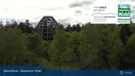 Archived image Webcam Neuschönau - Visitor center Lusen National Park 16:00