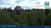 Archiv Foto Webcam Neuschönau - Besucherzentrum Nationalpark Bayerischer Wald 00:00