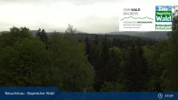 Archiv Foto Webcam Neuschönau - Besucherzentrum Nationalpark Bayerischer Wald 18:00