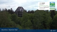 Archiv Foto Webcam Neuschönau - Besucherzentrum Nationalpark Bayerischer Wald 20:00